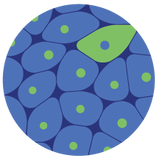 Broad's Single Cell Portal logo